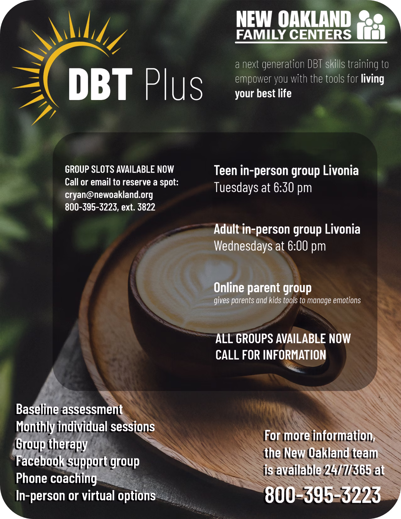 DBT Plus Flyer 1