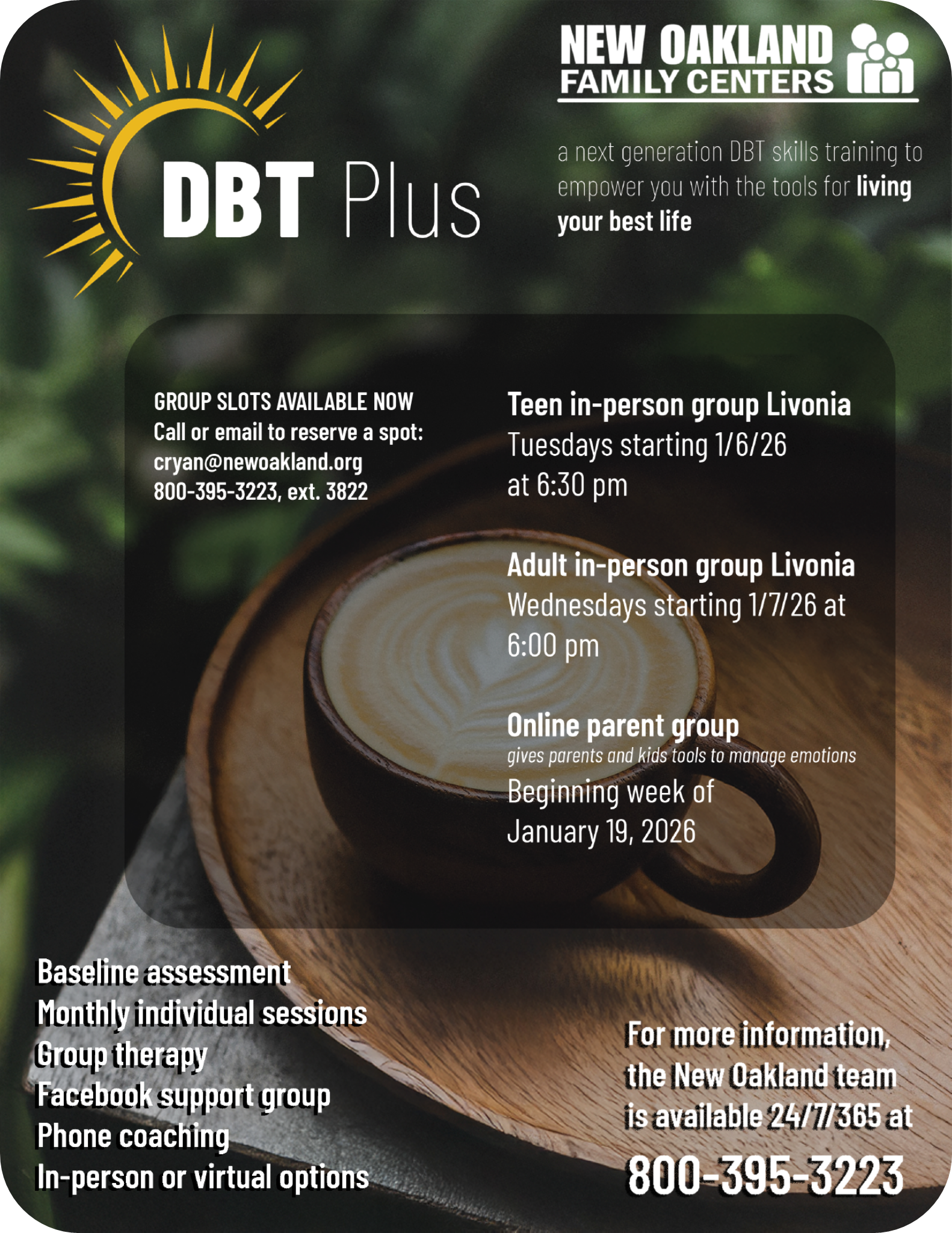 DBT Plus flyer 1